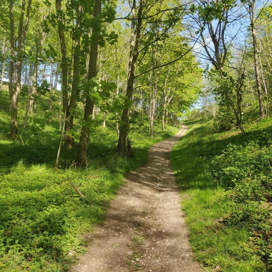 Holly Cottage, Hidden Gem In The Yorkshire Wolds Welton  Buitenkant foto